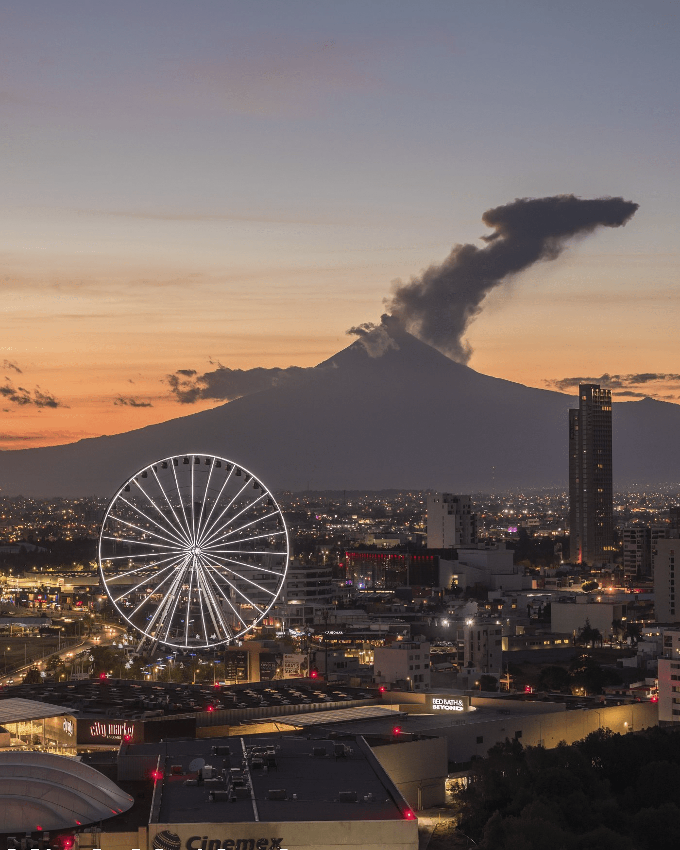 Empresa con más de 7 años brindando soluciones en la venta de propiedades.